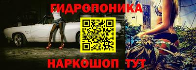 бошки Можга